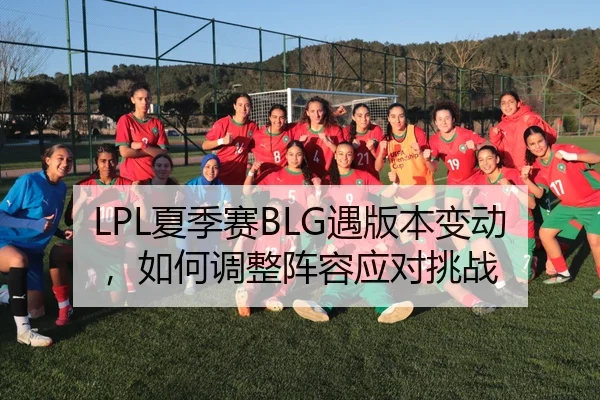 LPL夏季赛BLG遇版本变动，如何调整阵容应对挑战